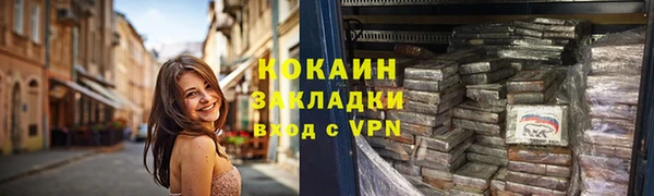 дмт Дмитровск