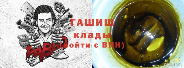 дмт Дмитровск