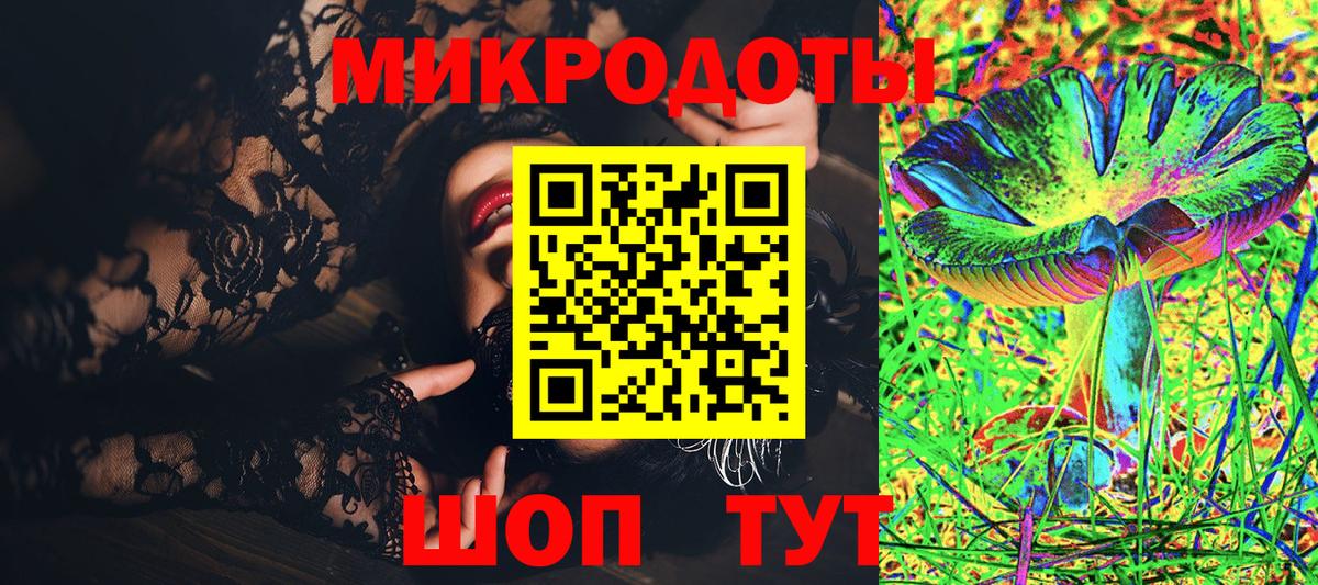 Сегежа  Псилоцибиновые грибы Cubensis  Вход с VPN 