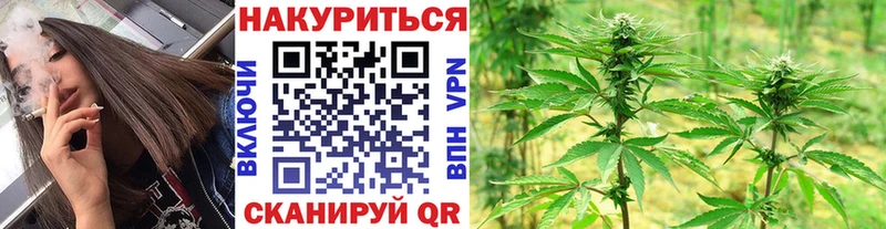 hydra ссылка  Сегежа  Канабис планчик 